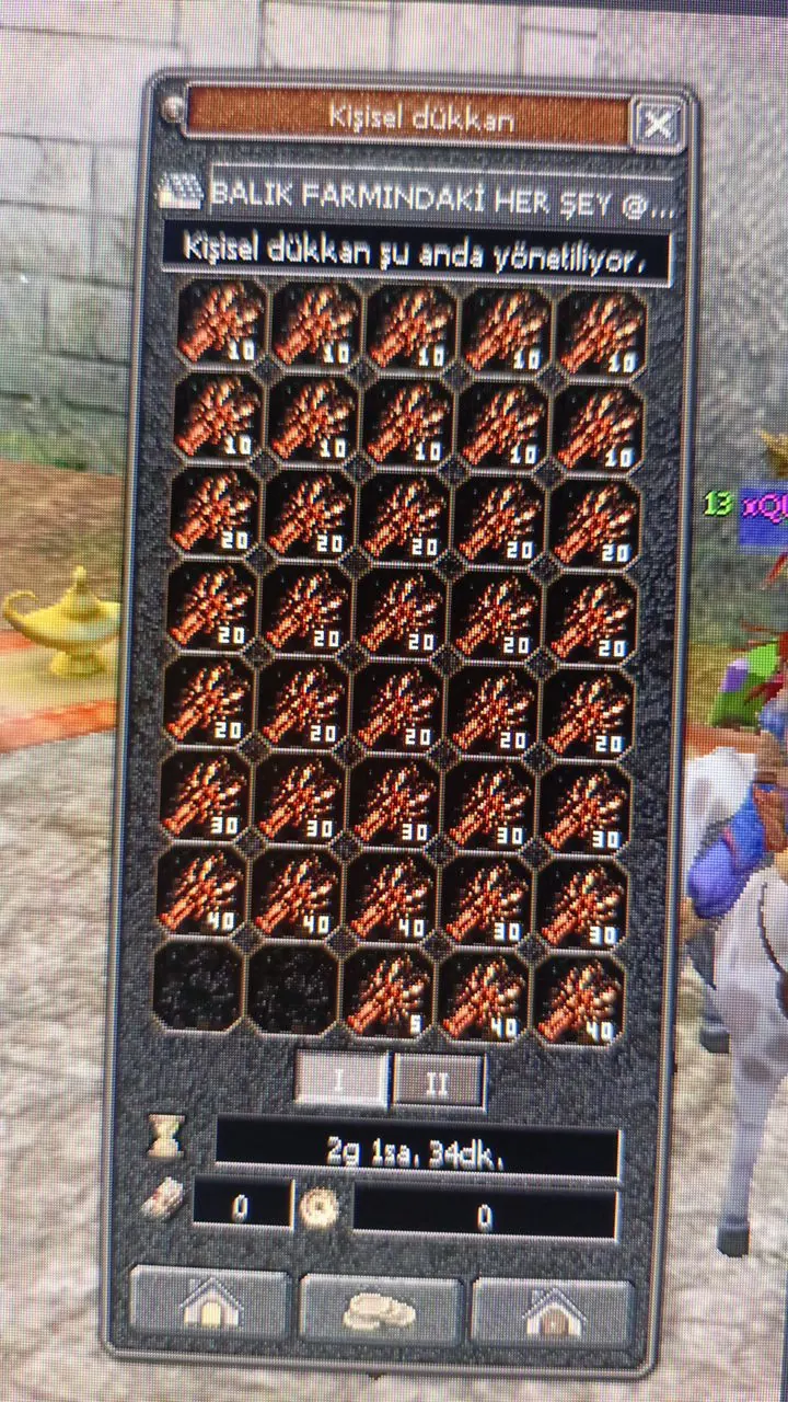 Metin2 balık botu ile oyun içi farm